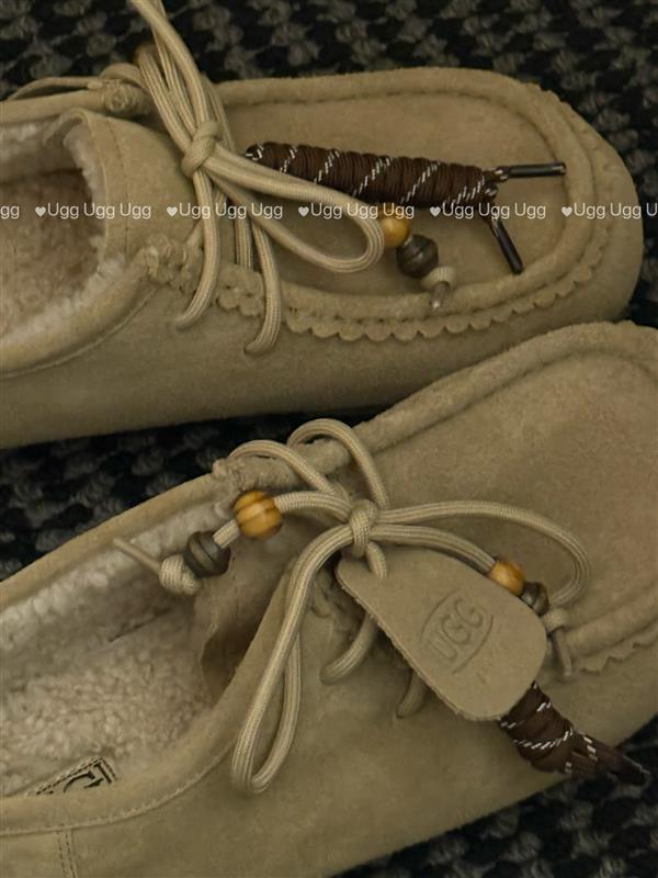 2025126111843379 270